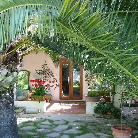 Hotel Al Zaraq